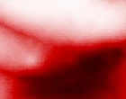 discothek x ray